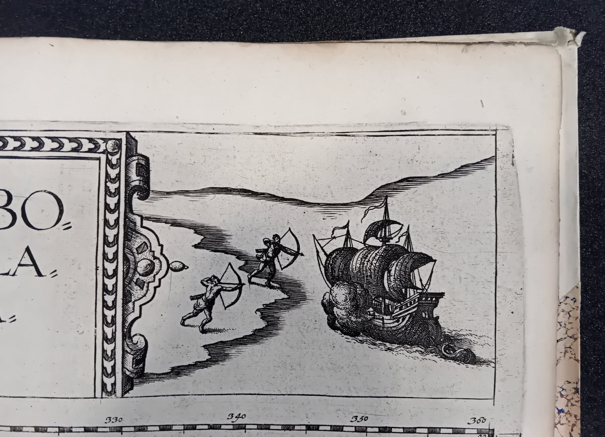 Alice Leonard tweet media