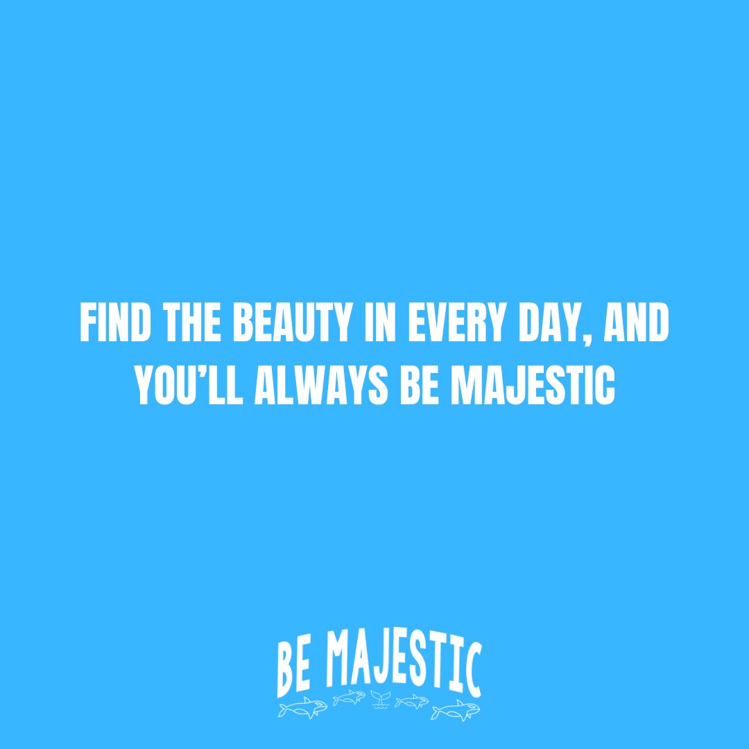 BeMajesticStore's tweet photo. Effort will always bring out the best in life.
#BeMajestic
#CelebratingPositivity
#SelfLove
#BeMajesticStore
#VeryMajestic https://t.co/bO6vjQKWXl