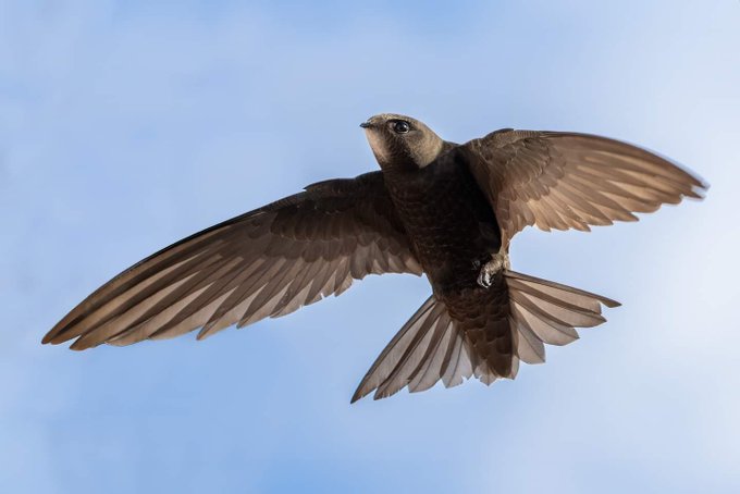 Hannah Bourne-Taylor tweet media