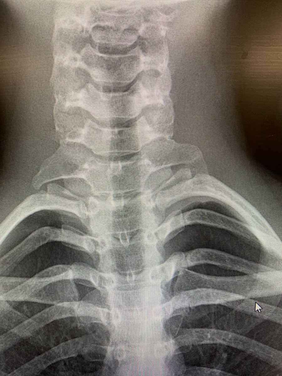 frank arko tweet media