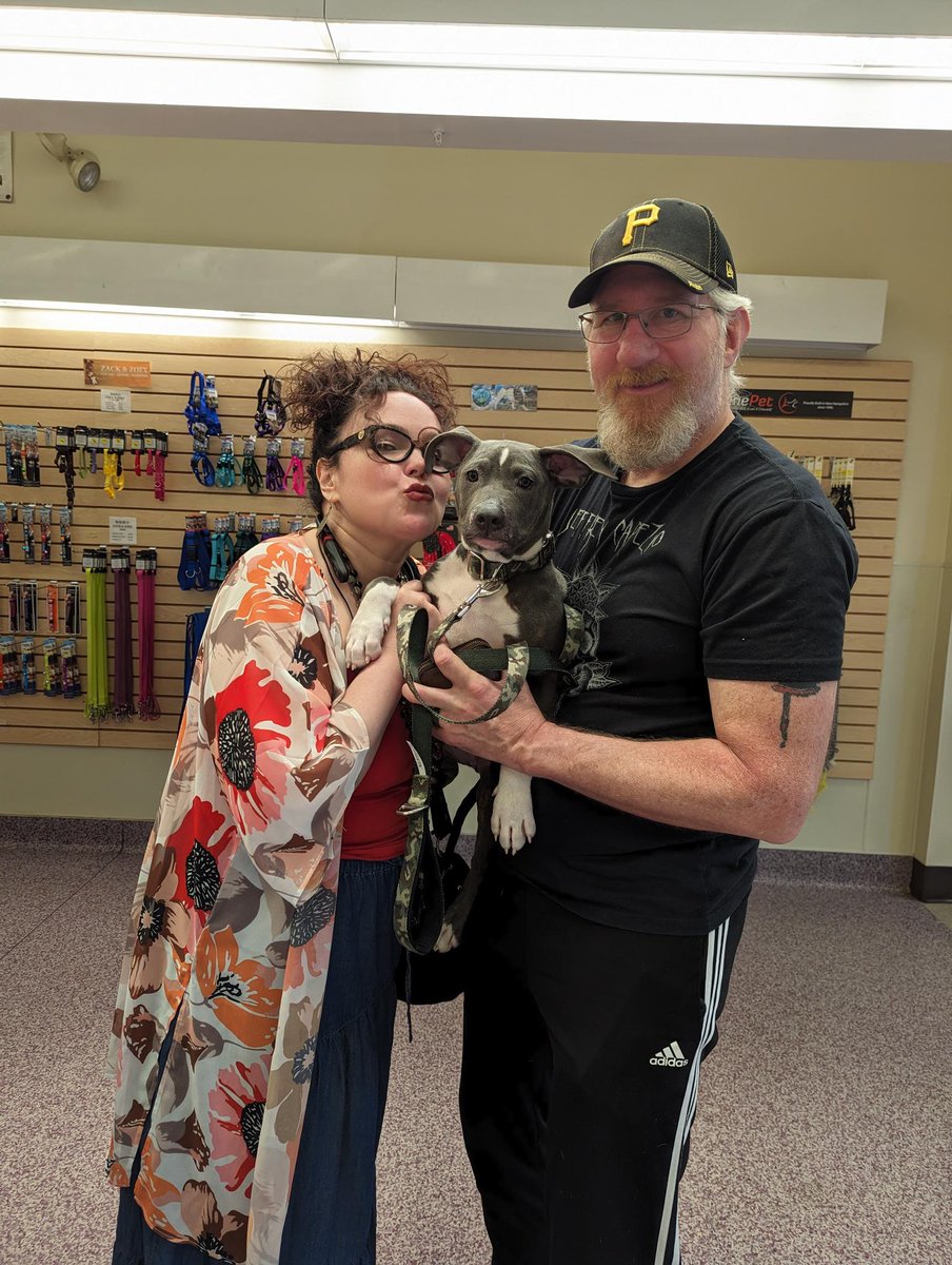 Humane Society HBG tweet media