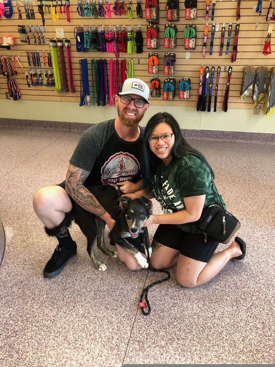 Humane Society HBG tweet media