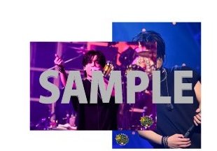 Kgr_Hkr's tweet photo. @saku_vov 連投失礼いたします。左上のセットに加えて画像のセットも求めておりますので、2:2での交換を考えております。条件が合えばよろしくお願いいたします。 https://t.co/Z94lhIfCQv