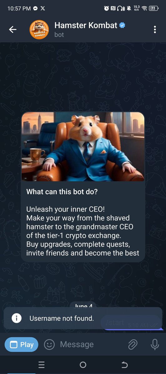 Zero Risk Breads tweet media