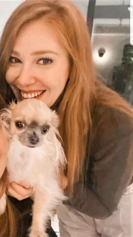 #ElçinSangu ElçinSangu❤️👑