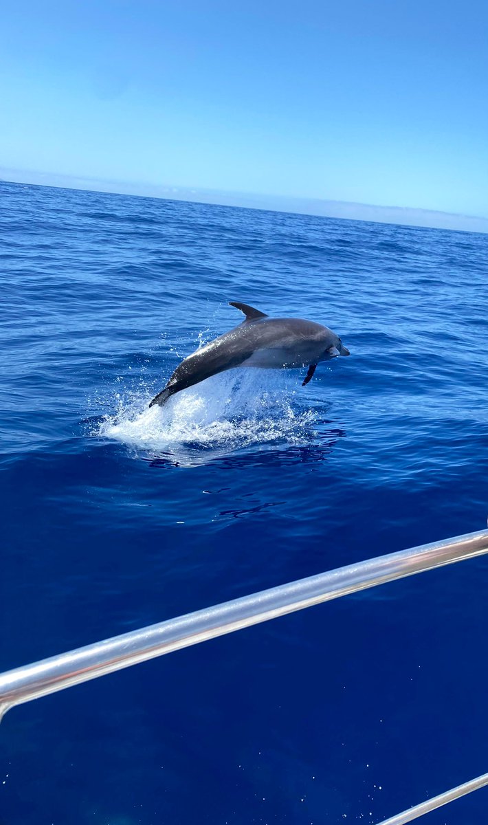 alpersant's tweet photo. Último día completo en la isla para surcar su escarpada costa, ver delfines , el Poris de Candelaria y la cueva bonita. https://t.co/NKcE0wo0i1