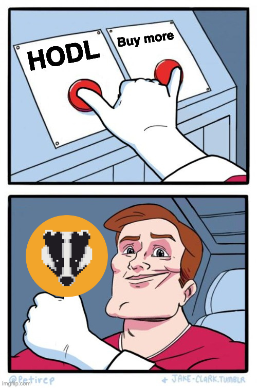 BadgerDAO's tweet photo. Our strategy is simple ⚡ https://t.co/WOcWDF0rVw