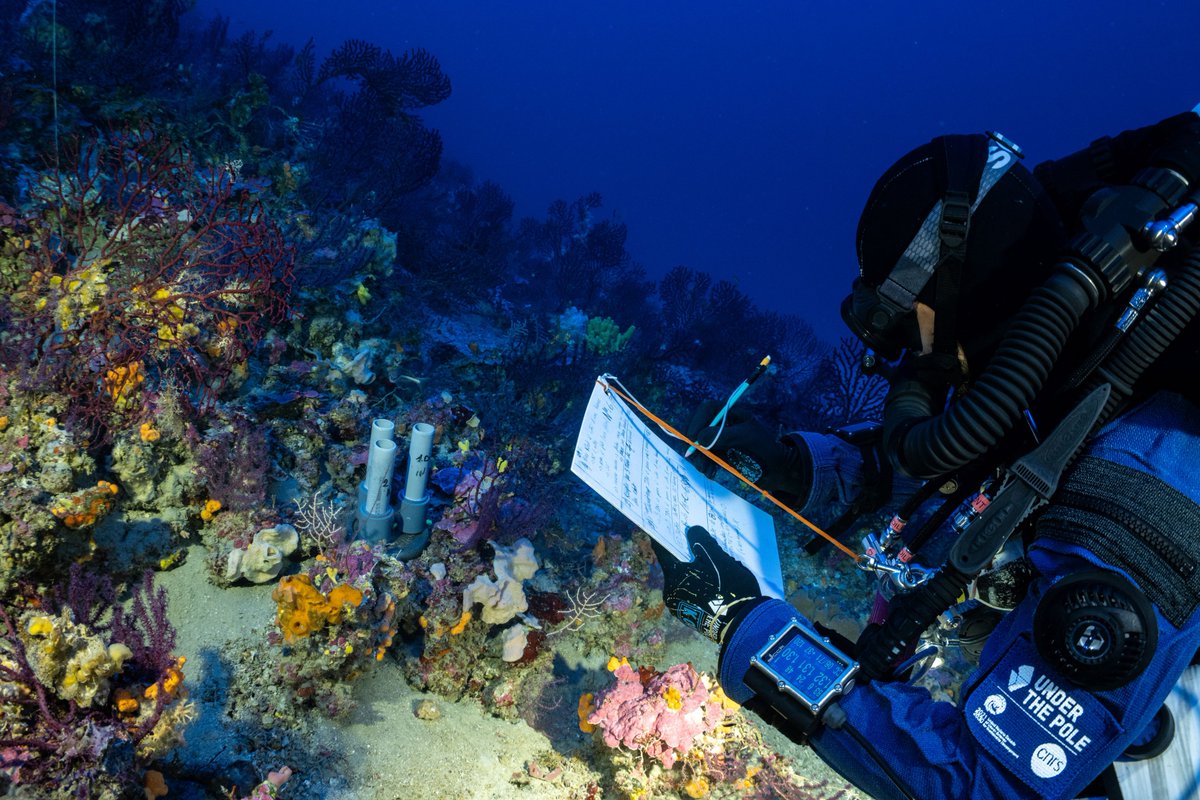 LindaJackson's tweet photo. Mission accomplished for @UnderThePole and @Peugeot as the study, started in April, of marine animal forests in the waters off Greece comes to an end. 90 local schoolchildren attended workshops around ocean preservation, including a guided tour of the #UnderThePole boat "Why" and clean-up operations of local beaches.
Next stop: France in August and Italy in September.