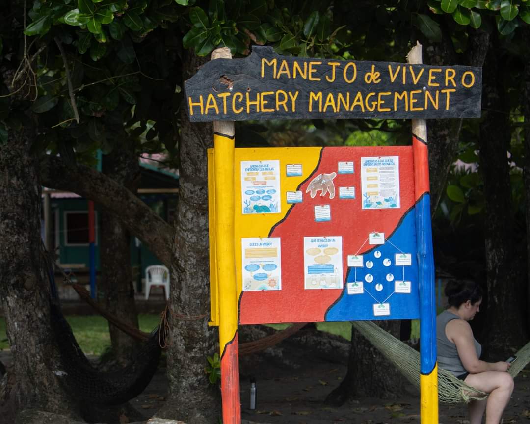 Batavia students assisted in data collection to help with sea turtle conservation at Estación Las Tortugas in Costa Rica. On our second night patrol we witnessed a leatherback laying eggs (no pictures permitted). #everybulldogeveryday