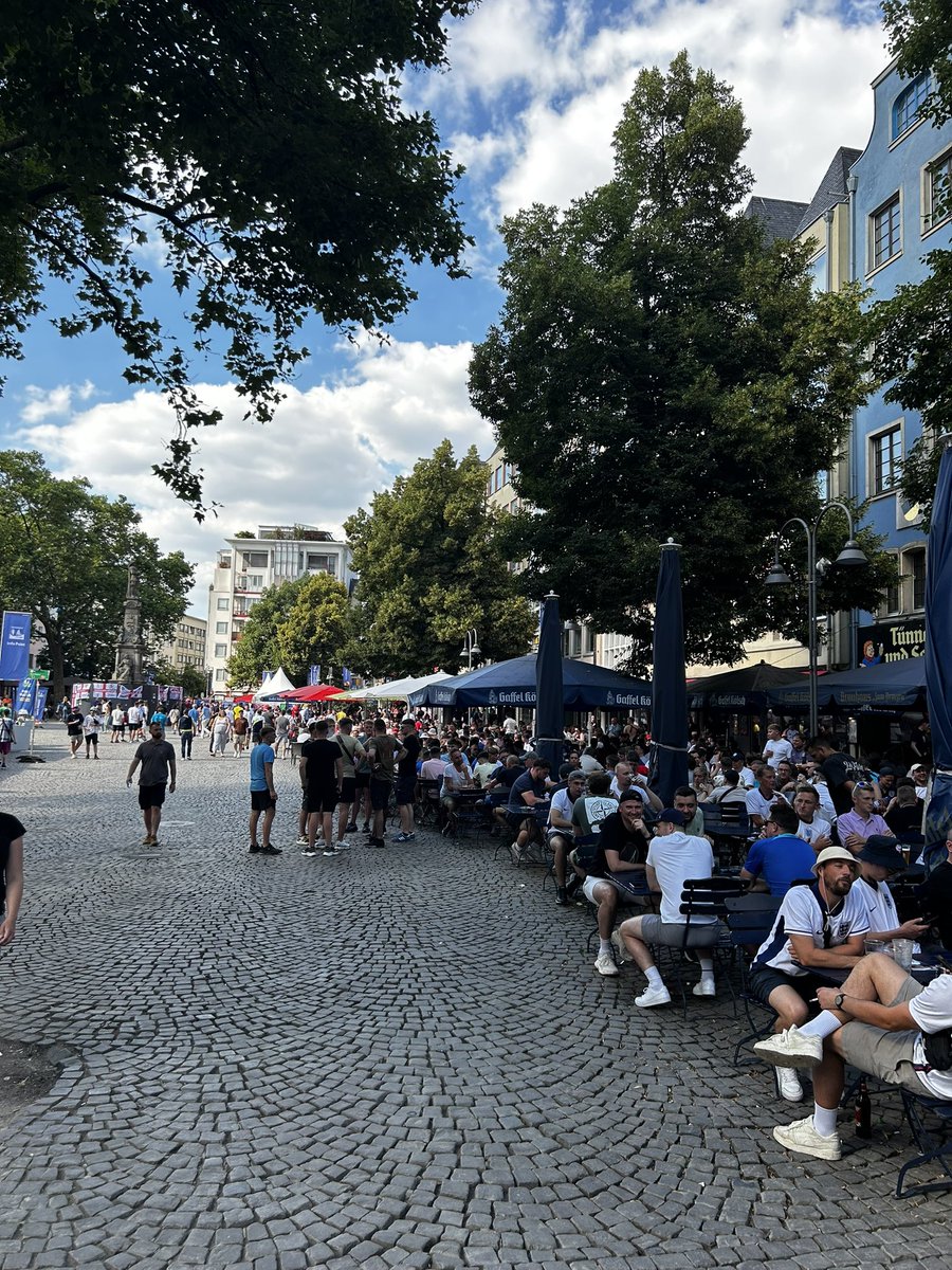 Free Lions tweet media