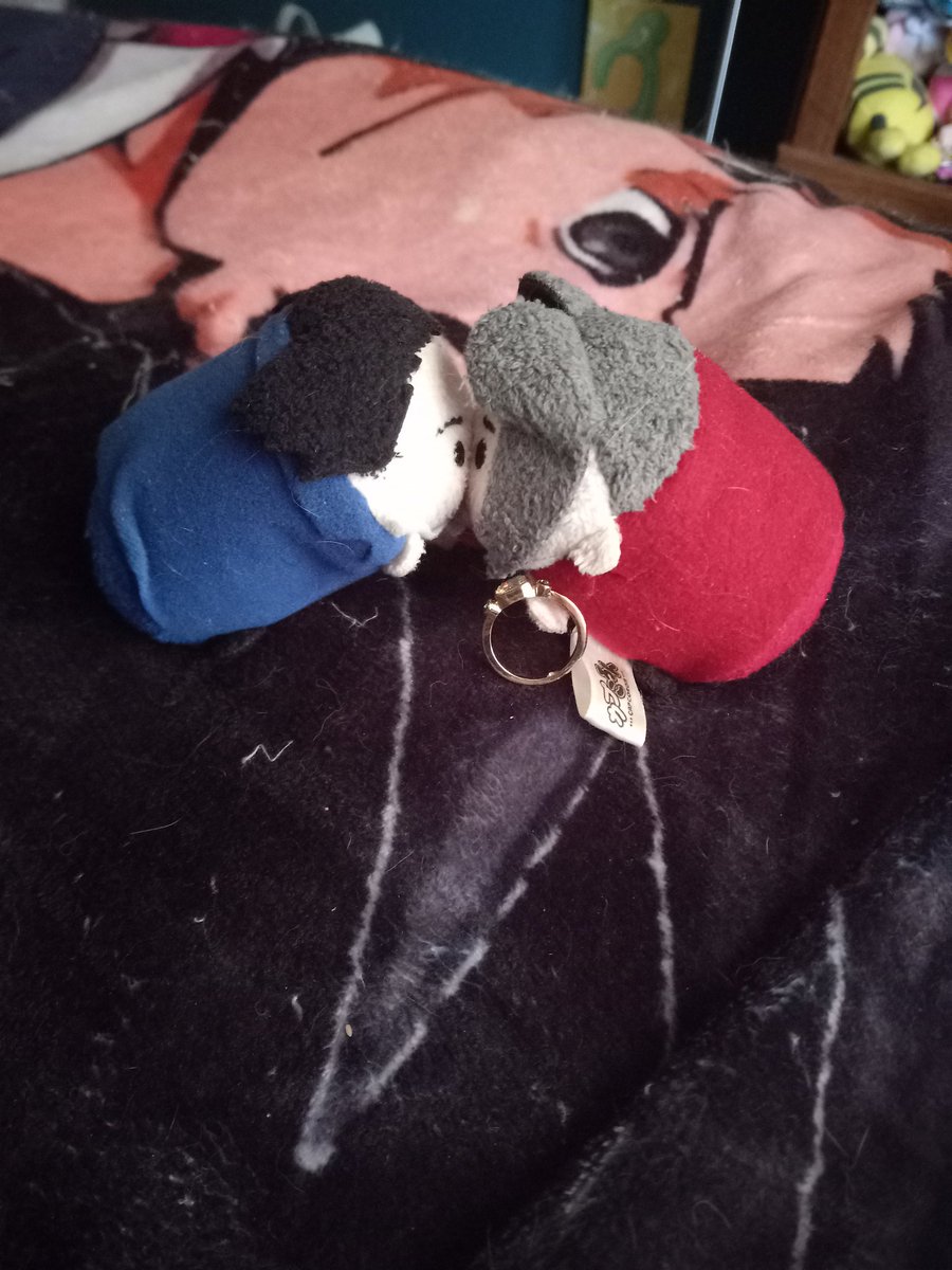 My Phoenix tsum tsum asked Miles to marry him. He said yes.