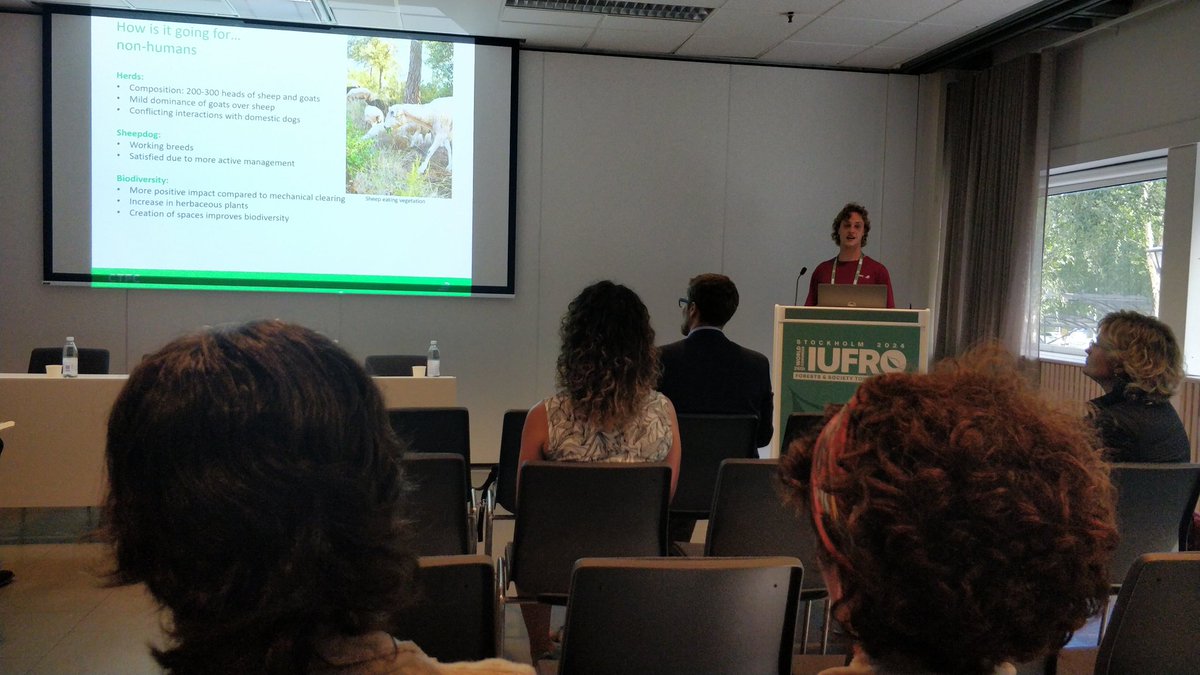 In <a href="/coevolvers/">COEVOLVERS Project</a> we analyse the non-human perspective of animals involved in controlled grazing 🐏 🐑 in #NatureBasedSolutions. Marc Rovellada (<a href="/ctforestal/">CTFC</a>) presents initial findings at the #IUFRO2024 conference based on the WUI in Baix Llobregat-Collserola living lab.