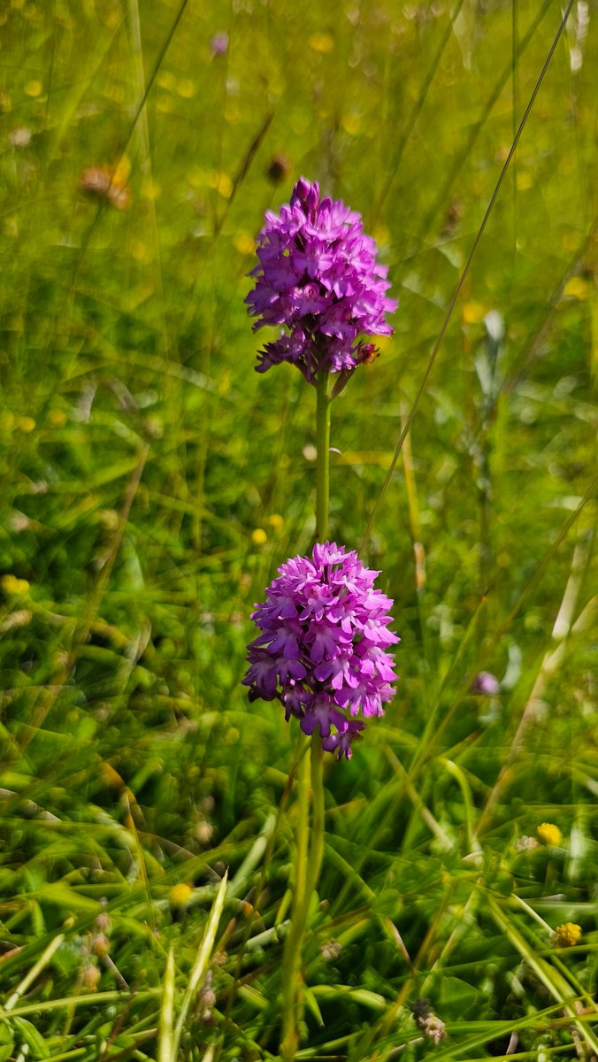 Beth Thomas tweet media