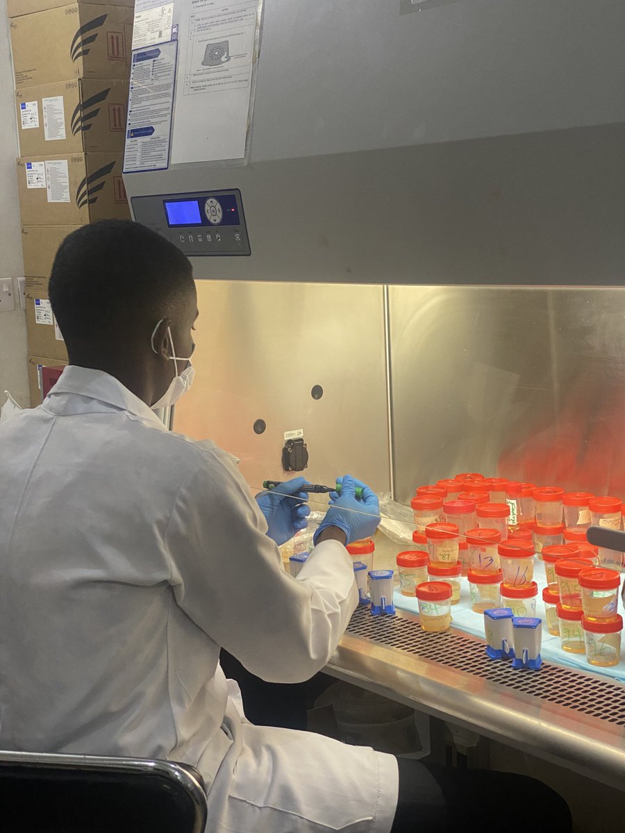 AjiOfMosho's tweet image. It’s our work oh 
#MlsCommunity