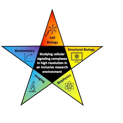 Starbird Lab (@starbirdlab) on Twitter photo  Starbird Lab (@starbirdlab) on Twitter photo
