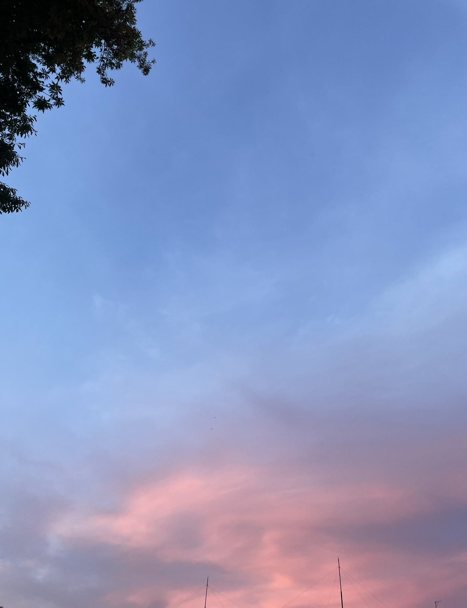 aimyanen36's tweet photo. 夕陽が綺麗だと、あぁアイナちゃんに届け〜〜って思ってしまう日々。
今日もすごく綺麗で、よかった！ https://t.co/qX73NirEWo