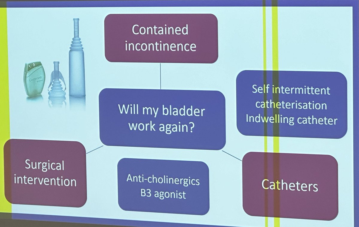 Will my bladder work again following SCI? A presentation by <a href="/drkatieeyre/">Katie Eyre</a>- very informative talk <a href="/spinalinjuries/">Spinal Injuries Association</a> <a href="/UnitedSpinal/">United Spinal</a> <a href="/SPINALpedia/">SPINALpedia</a> <a href="/BBK_Spinal/">BBK Spinal Team</a> <a href="/RSTrust/">Rooprai Spinal Trust</a> <a href="/canadian_spinal/">The Canadian Spinal Research Organization</a> <a href="/DrJamesKKChan/">James Kwok-Kwan Chan</a> <a href="/firas_sarhan1/">Firas Sarhan</a> <a href="/SCIAppg/">APPG on Spinal Cord Injury</a> <a href="/BucksHealthcare/">Buckinghamshire Healthcare NHS Trust</a>