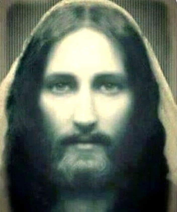 St. Padre Pio Quotes tweet media