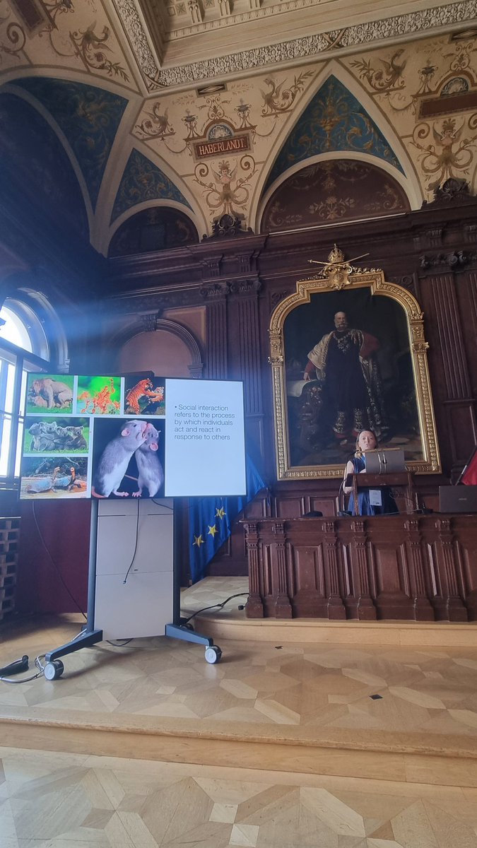 French basal ganglia club tweet media