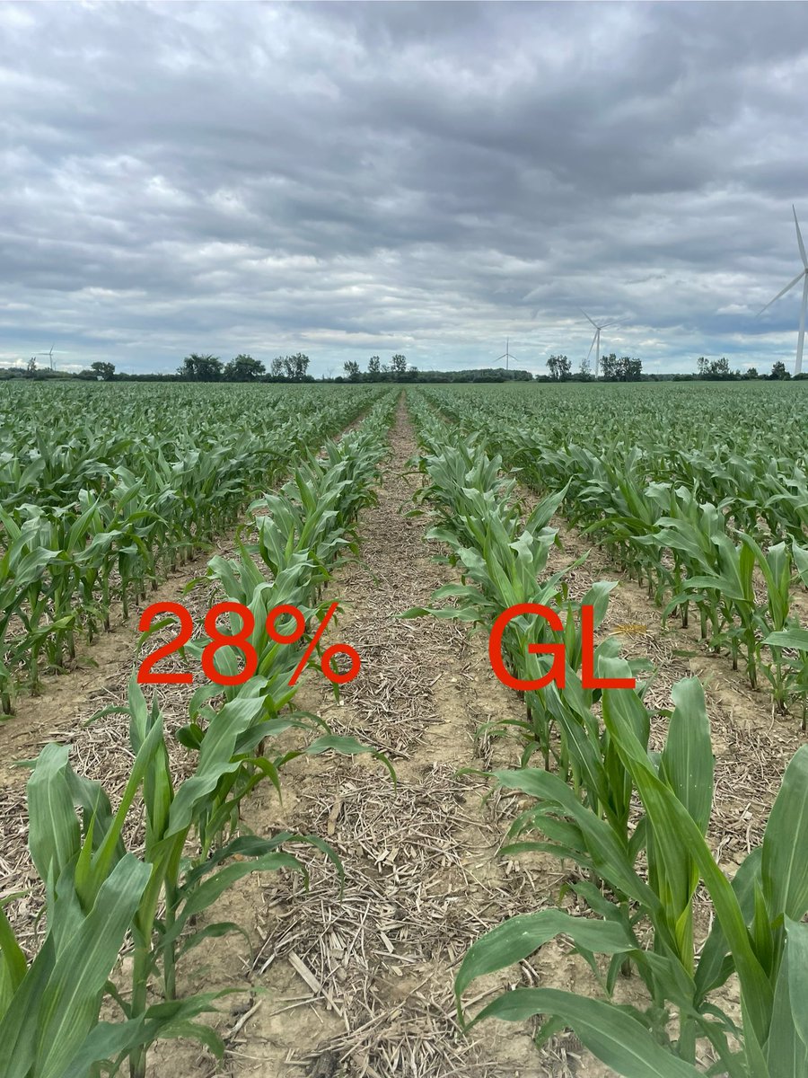 Jonathan Tracey tweet media