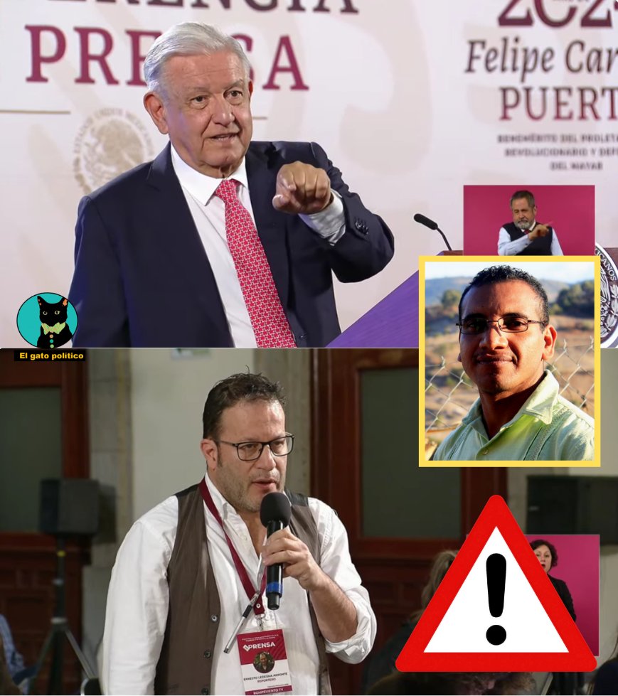 El gato político tweet media
