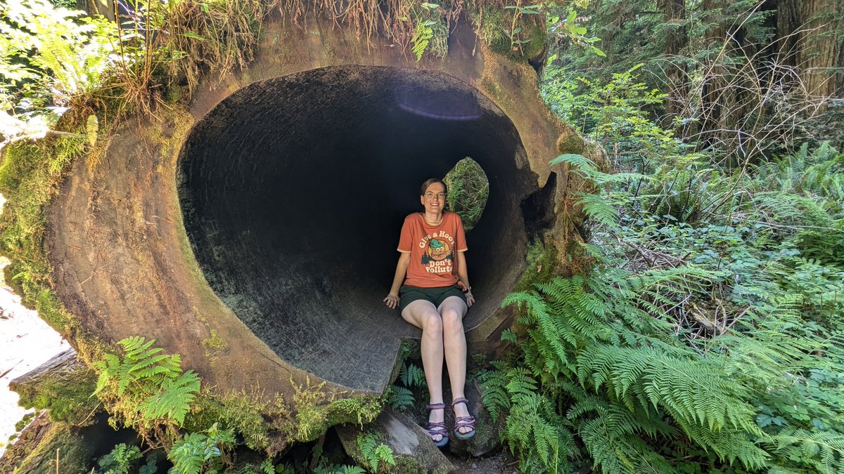 MockTurtlePower's tweet image. The Redwoods are my happy place