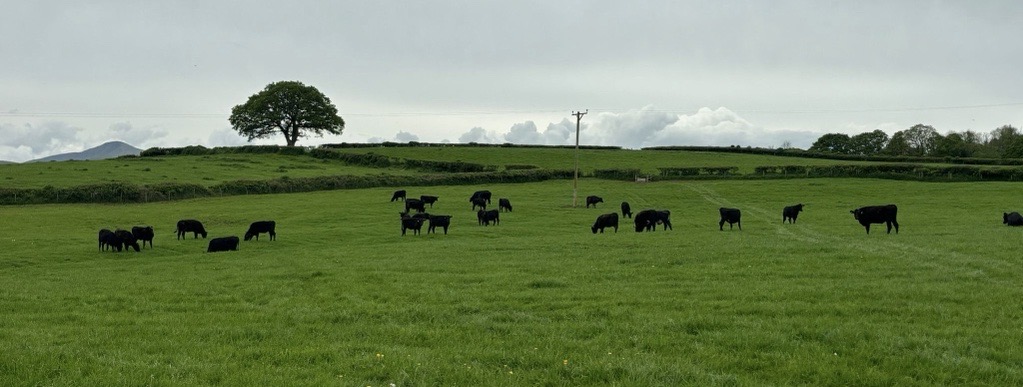 GamechangerFarming tweet media