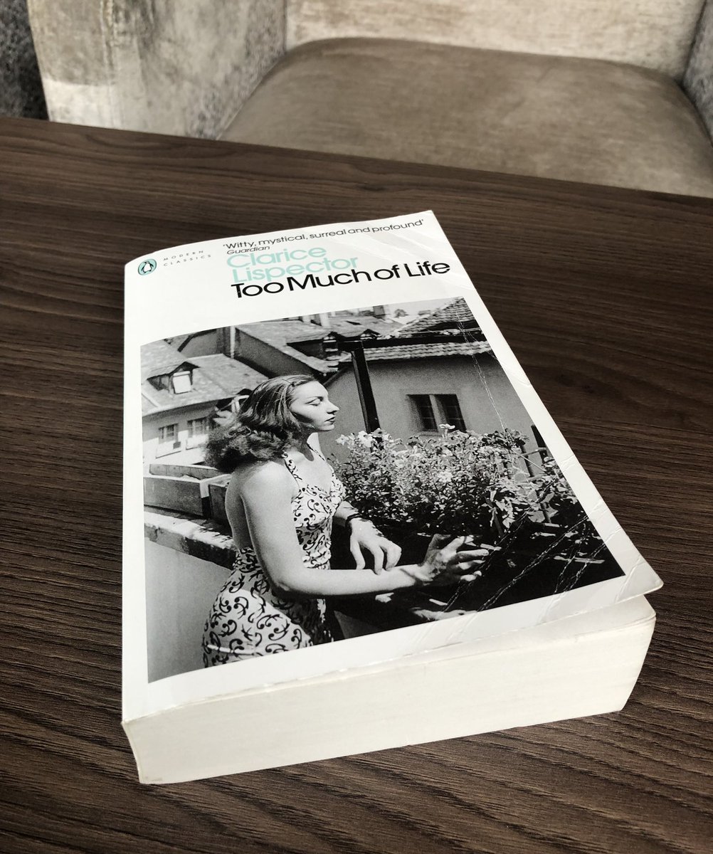 DrDavidVernon's tweet image. Some of the most gorgeous, bizarre and wonderful things in literature: Clarice Lispector’s Crônicas. Read them, love them, then reread them immediately.