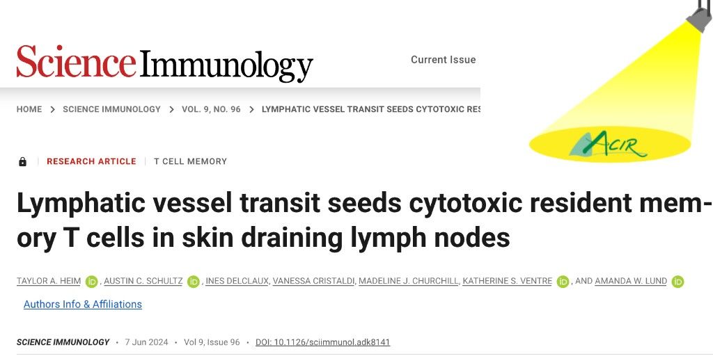 ACIR (@acir_org) on Twitter photo Heim et al. studied the formation of lymph node-resident memory T cells (LN TRMs) following a vaccinia virus skin infection, and found that LN TRMs localized in the draining lymph nodes (dLNs) of infected skin. bit.ly/45Cd3ye <a href="/TaylorAHeim/">Taylor Heim</a> <a href="/theLundLab/">Amanda Lund Lab</a> Heim et al. studied the formation of lymph node-resident memory T cells (LN TRMs) following a vaccinia virus skin infection, and found that LN TRMs localized in the draining lymph nodes (dLNs) of infected skin. bit.ly/45Cd3ye <a href="/TaylorAHeim/">Taylor Heim</a> <a href="/theLundLab/">Amanda Lund Lab</a>
