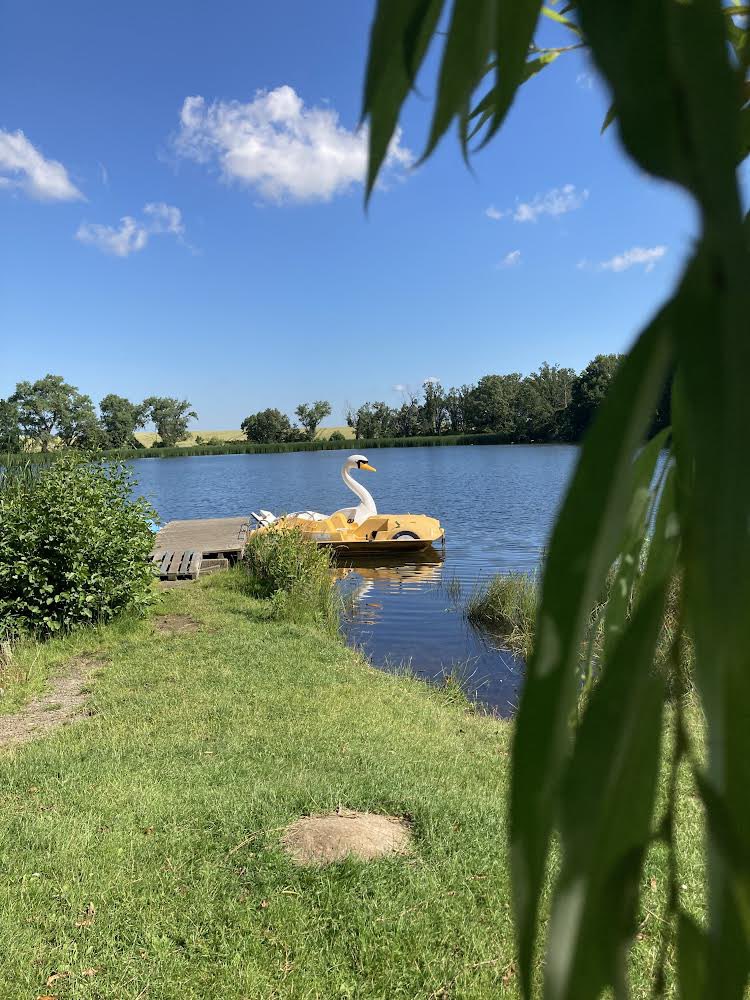 LadenDer's tweet photo. Heute ist unsere Ferienwoche an den Lübschützer Teichen in #Machern gestartet. Wir haben uns Heidi vom #NDK @SachsenEns eingeladen und über die Produktion von Schokolade gesprochen, selbst welche hergestellt + dabei viel gelernt. Danke! Baden+töpfern ging auch noch. #fairerhandel https://t.co/Tq3WBZdsoS