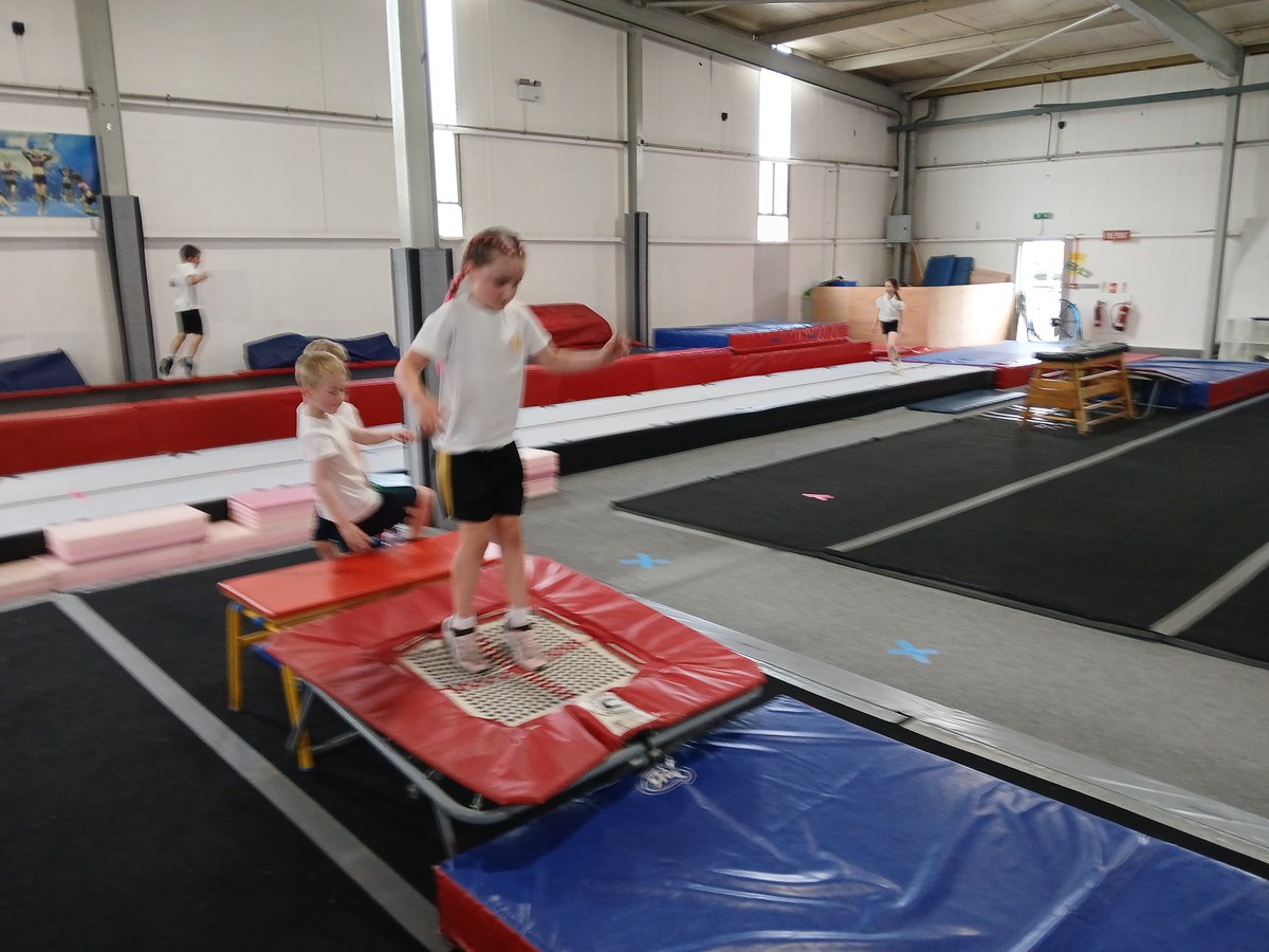 Bill Quay Primary tweet media