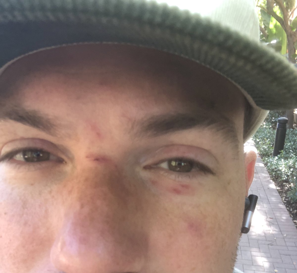 Steph Egger tweet media