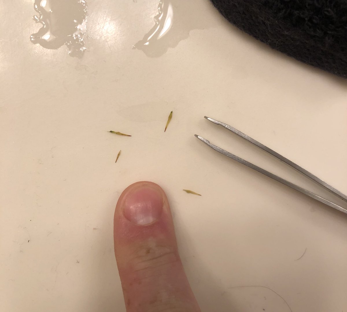 Steph Egger tweet media