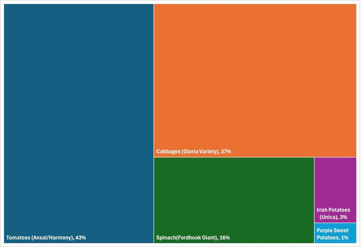 Crop Distribution for Our Second Season of 2024 in the Mt. Kenya Region! 🌻🌿🌾
From June to October, we’re growing:

🍅 Tomatoes (43%)
🥬 Cabbages (37%)
🌱 Spinach (16%)
🥔 Irish Potatoes (3%)
🍠 Purple Sweet Potatoes (1%)

Excited to leverage irrigation for a bountiful harvest!