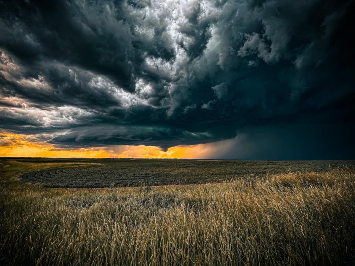 TillageTools's tweet photo. There was an intense storm that rolled through the prairies yesterday. We hope everyone was able to find shelter and stay safe. A friend of ours captured these shots north-west of Humboldt, SK. What did your area look like?
#SaskStorm https://t.co/uSMJLOzs8H