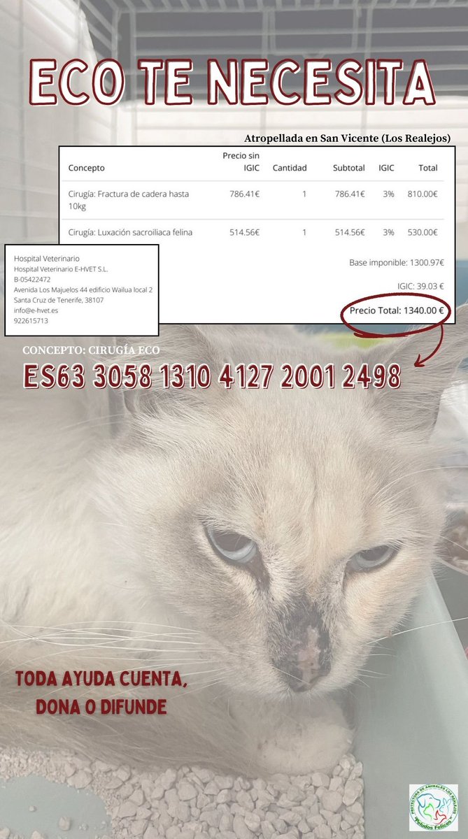 Aiz95 | Huru tweet media