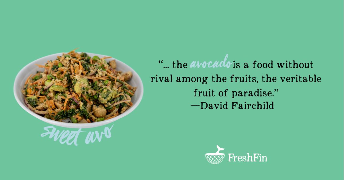 FreshFin Poke tweet media