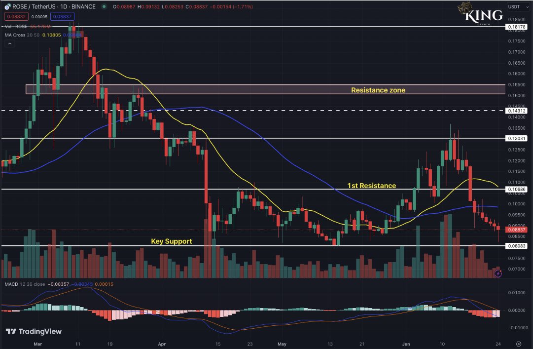 King Crypto tweet media