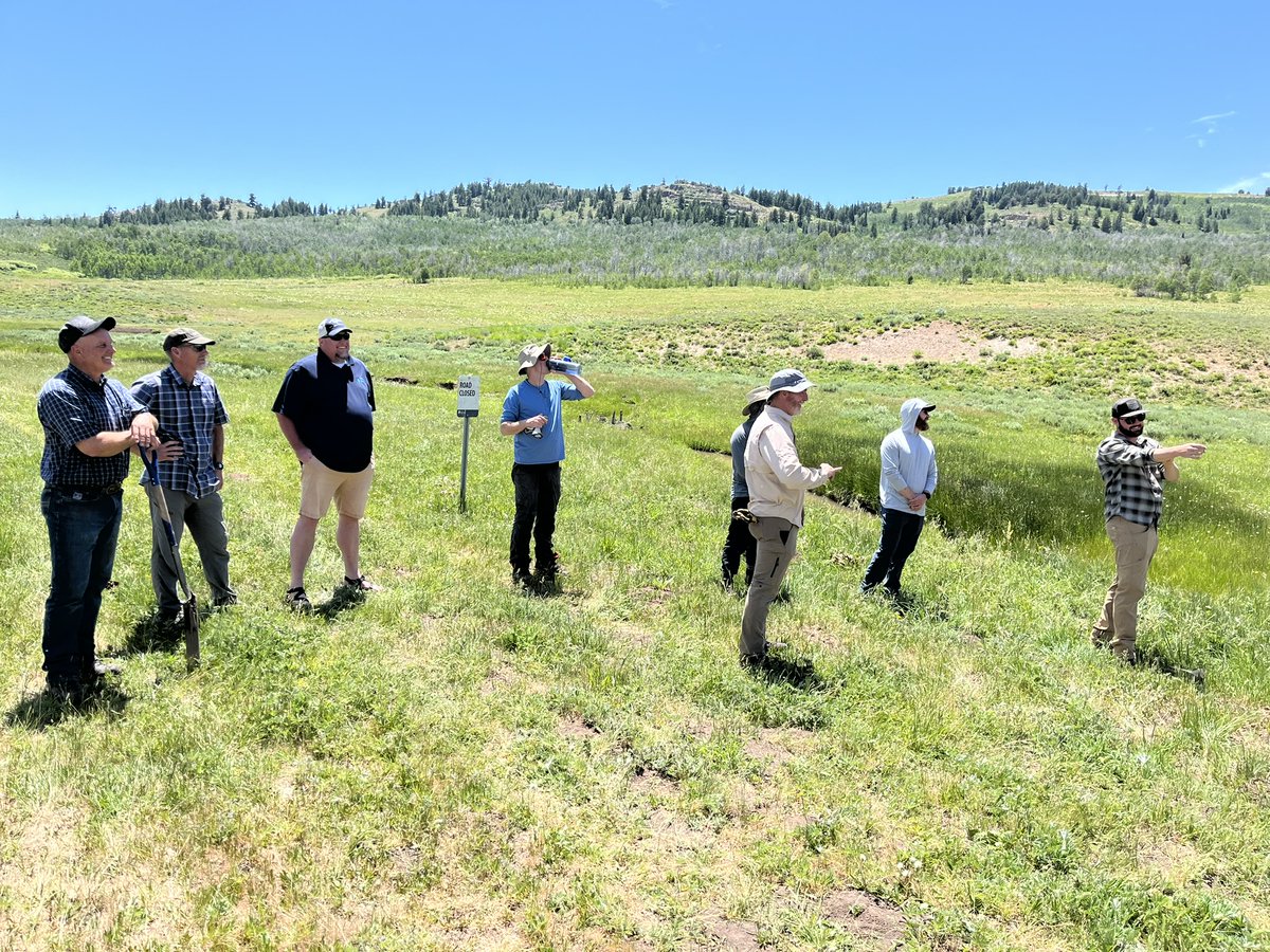 UtahWRI's tweet photo. Thanks to everyone who joined us last week for WRI's Northern region field tour.  We talked past and future treatments to reduce fuels and improve big game/sage grouse habitat on @UtahDWR  and @UWCNF lands near Hardware Ranch then built beaver dam analogues on Cinnamon creek WMA. https://t.co/7CmScC0C8D