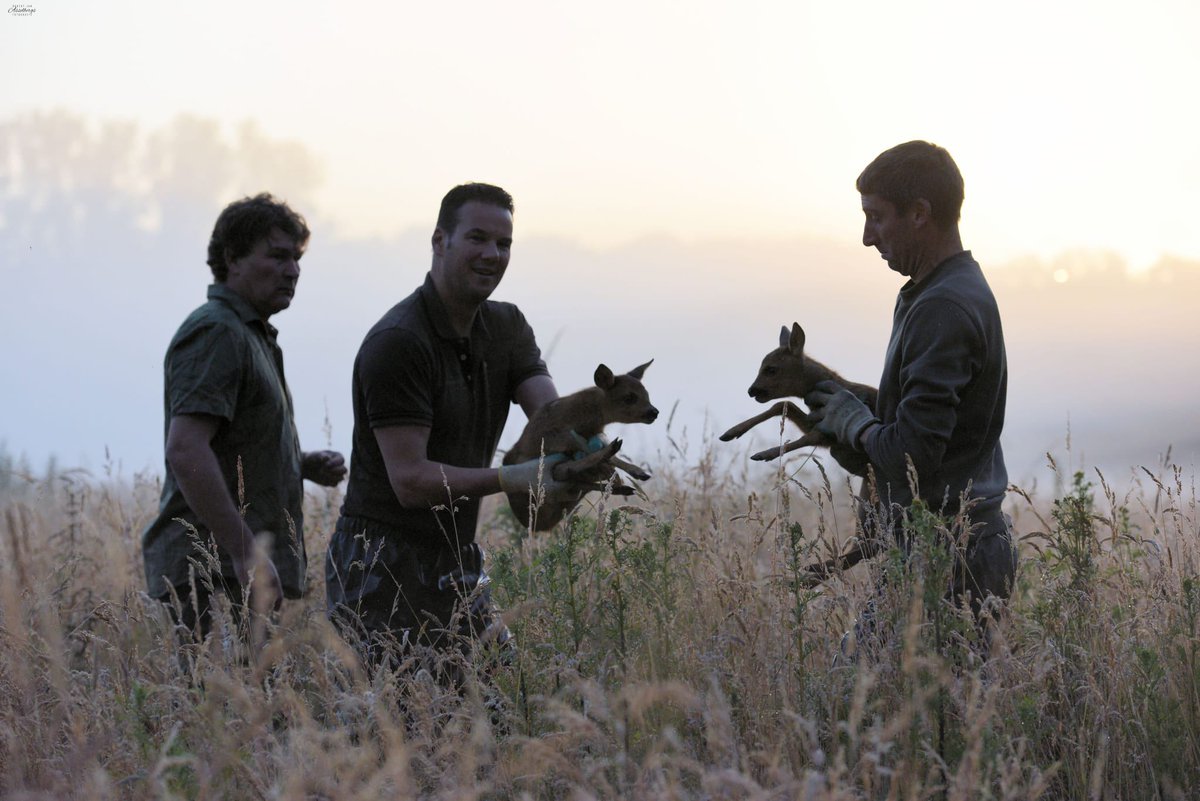 Erik de Jonge tweet media