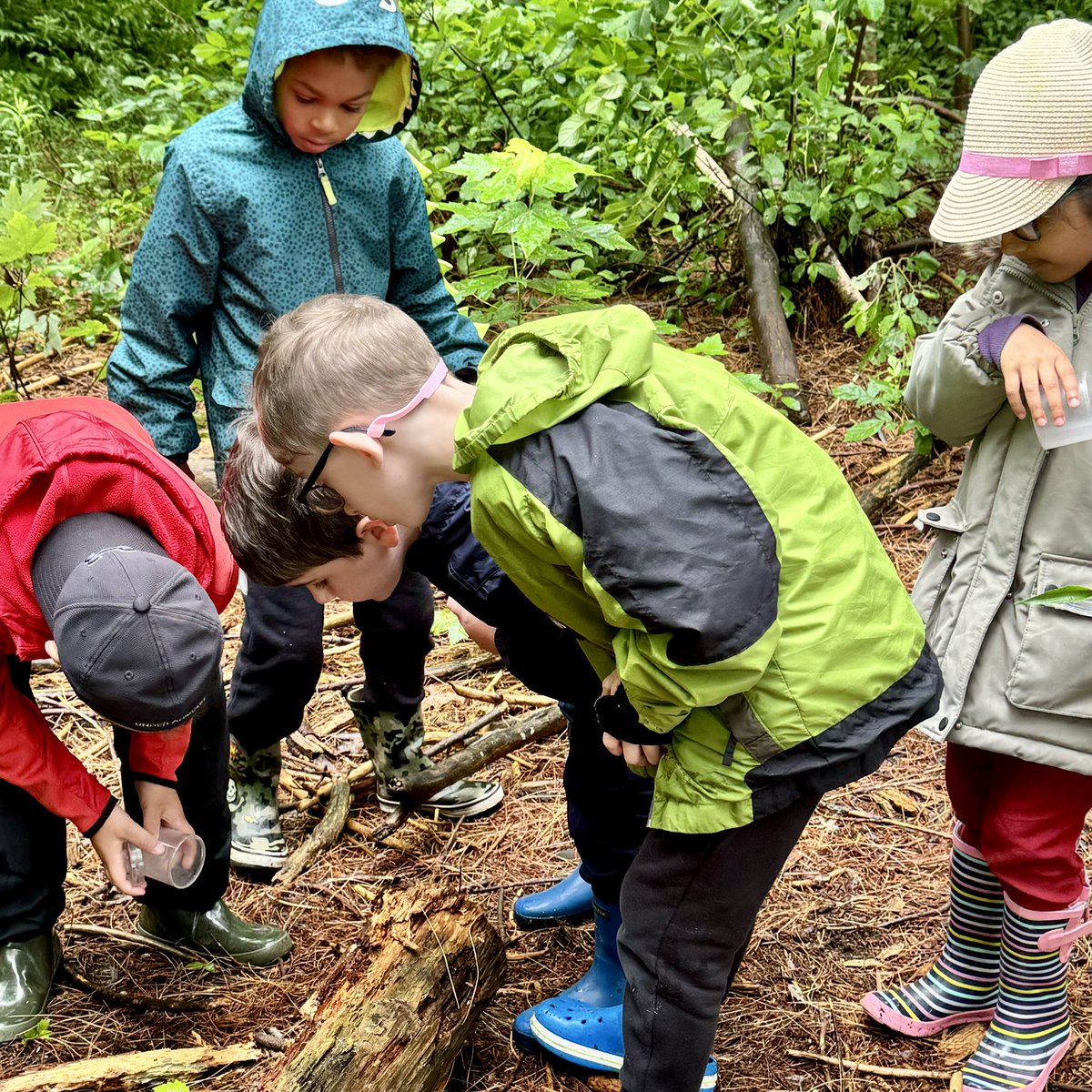 MrsWalkerOCSB's tweet image. So grateful the sun came out for our grade 2 field trip to Baxter Conservation Area ☀️🐸🐞 @StAnneOCSB @liannelogan10 @Ms_Matteucci @RideauValleyCA
#nature #animals #outdoorEd #getoutdoors #baxter #rideauriver