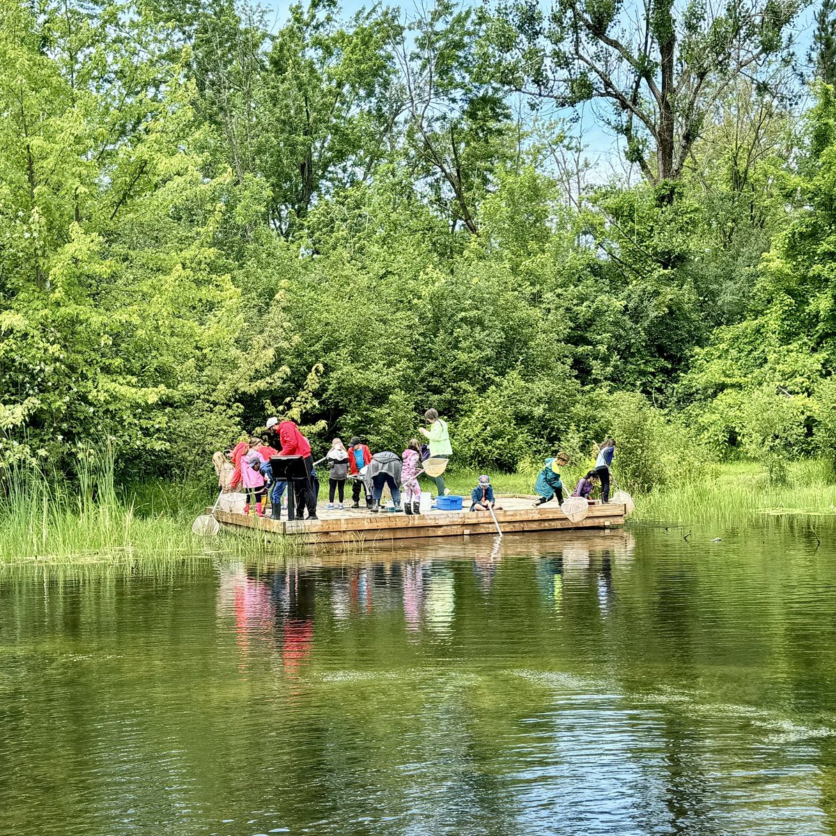 MrsWalkerOCSB's tweet image. So grateful the sun came out for our grade 2 field trip to Baxter Conservation Area ☀️🐸🐞 @StAnneOCSB @liannelogan10 @Ms_Matteucci @RideauValleyCA
#nature #animals #outdoorEd #getoutdoors #baxter #rideauriver