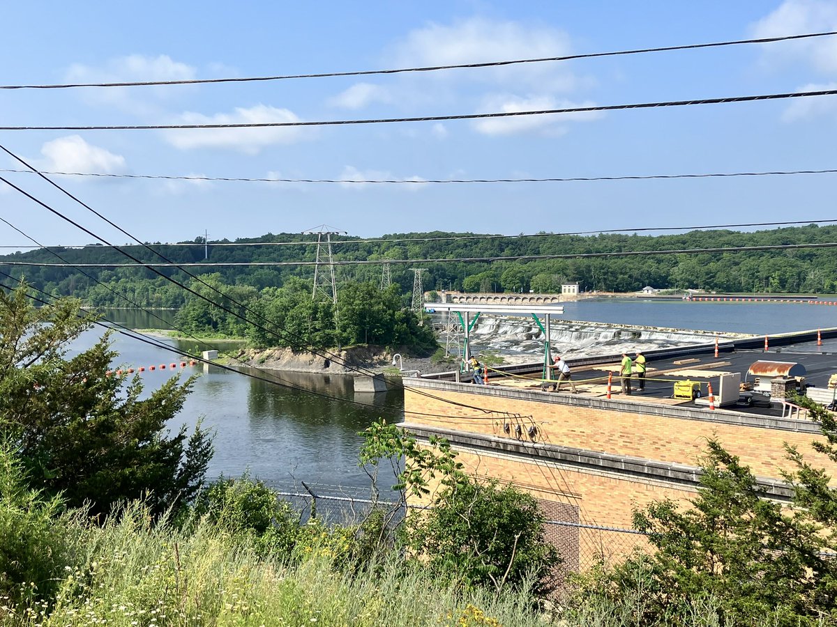 K. S. Manning, PhD ❇ tweet media