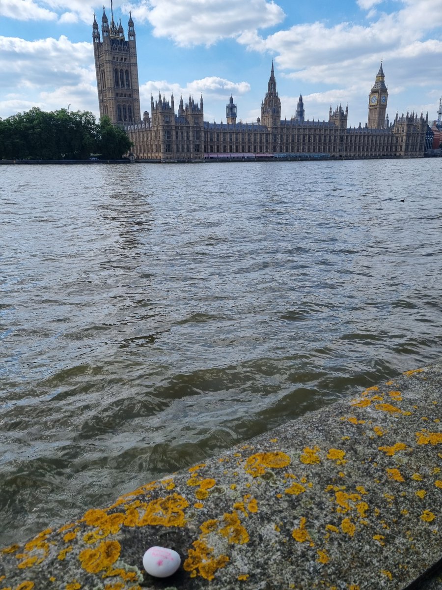 RCSLTpolicy tweet media