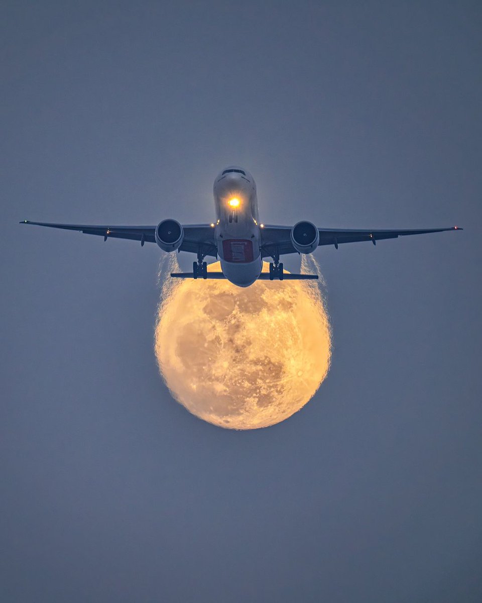 visitdubai's tweet image. Can we skip to the 𝙜𝙤𝙤𝙙 𝙥𝙖𝙧𝙩? ✈️#VisitDubai 
📸 IG/pixtarami
#FlyEmirates