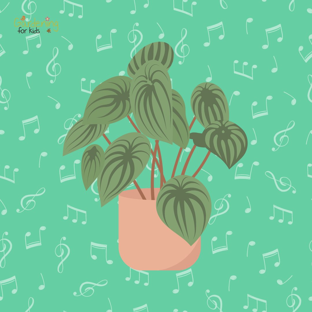 Did you know that plants respond to sound? 

 Studies have shown vibration can affect plant growth. So maybe you should get singing to your plants 🎵 🌱

#plants #gardening #gardeningforkids
