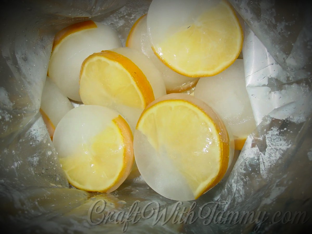 CraftwithTammy's tweet image. TIP Time! "Pre-frozen lemon slices to liven up any drink in the hot summer!"

#IceBlocks #Lemons #Oranges #Limes #Drinks #Summer #Cocktails #Parties #CraftWithTammy #Cookouts #BBQ #SummerParties

craftwithtammy.com/post/lemon-ice…