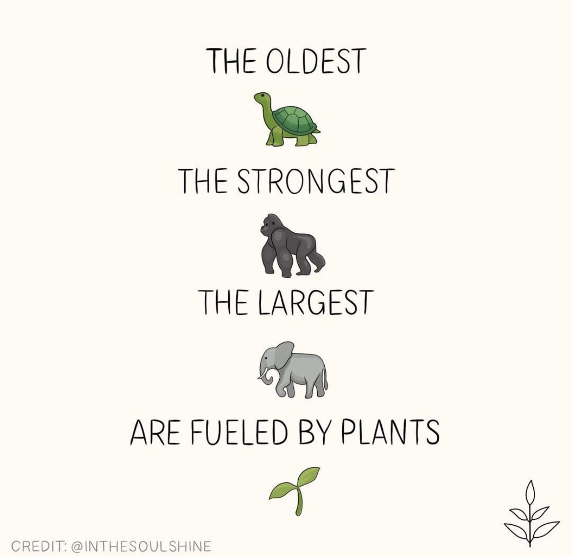 vegansarcasm's tweet photo. https://t.co/NYtghSbW38