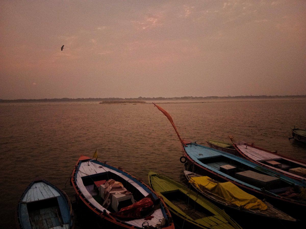 अनामिका tweet media