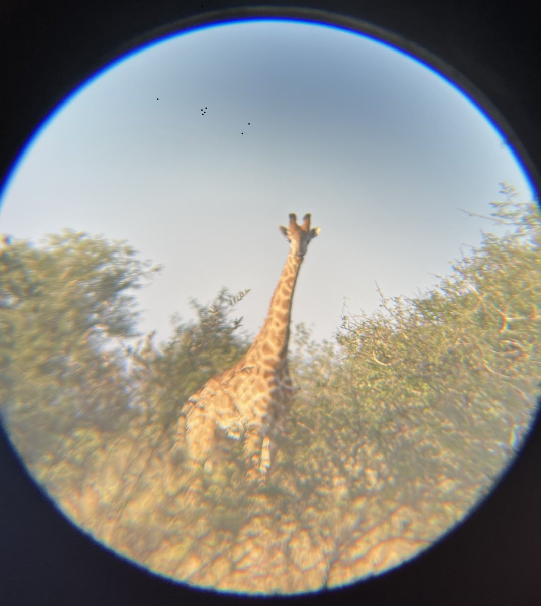 Dan Perkins tweet media